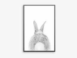 Bunny Tail Domestic Rabbit Png Image Transparent Png Free Download On Seekpng