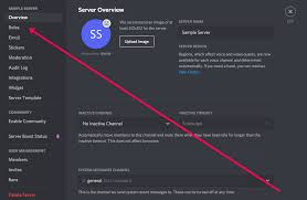 Zamasu is a discord bot strictly designed around moderation. How To Add Bots To Your Discord Server