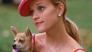 Elle woods has it all. Women Channel Their Inner Elle Woods On Legally Blonde S 15th Anniversary