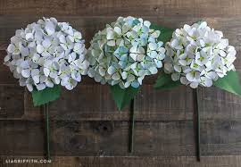Diy Paper Hydrangea Flowers