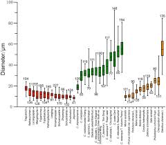 Maybe you would like to learn more about one of these? Calciphytoliths Calcium Oxalate Crystals Analysis For The Identification Of Decayed Tea Plants Camellia Sinensis L Scientific Reports