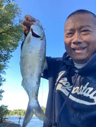 Was a dart turned in or found