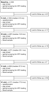 Flow Chart Of The Mothers Included In The Finnish Family Hpv