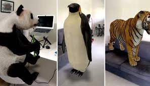 Free building is brought to you by fun games for free, creator of the 100+ million downloads games flight pilot simulator, sniper 3d and sniper shooter. How To Watch Google 3d Animals