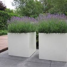 Lightweight Fibreglass Garden Planter Adezz Buxus Cube White Modern Garden Outdoor Gardens Garden Pots