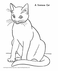 A sailing boat over the blue waves coloring page #90. Coloring Pages Of A Cat Coloring Home
