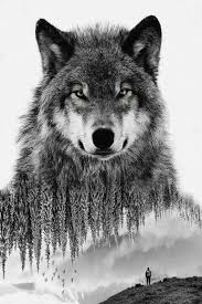 Wolves Wild Nature Creation Wolf Tattoo Design Hayvan Tablolar