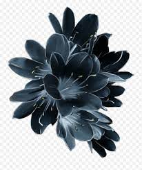 302 transparent png illustrations and cipart matching blue flowers. Download Hd Mq Blue Flower Flowers Garden Dark Pink Sky Dark Blue Flower Png Free Transparent Png Images Pngaaa Com