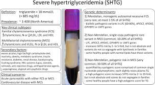 Image result for Hypertriglyceridemia
