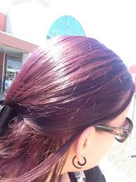 Manic Panic Deep Purple Dream Over Brown Ish Hair Purple Hair Manic Panic Hair Dye Hair