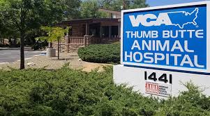 Ugh cant stand the cold i have to move to warmer location. Veterinarians In Prescott Az Vca Thumb Butte Animal Hospital