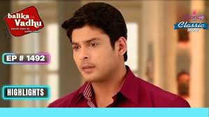 Balika Vadhu to have Mahi Vij after the leap.