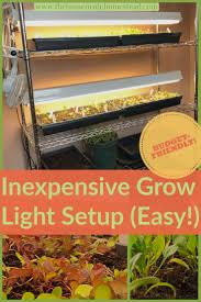 Save money with led grow lights. Cheapest Grow Light Setup The Homemade Homestead