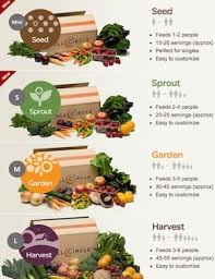 Full Circle Foods Veggie Delivery Service Would Be Fun To Experiment With Whatever Surprise Comes In The Bo Vegetable Delivery Vegetable Packaging Veggie Box