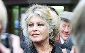 Изучайте релизы brigitte bardot на discogs. Brigitte Bardot Wants Ban On Shehita The Times Of Israel