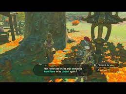 The Legend Of Zelda Breath Of The Wild Wii U 195 Aya S Blue Torch Lighting Youtube