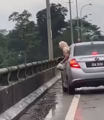 Maybe you would like to learn more about one of these? Jpj Ambil Tindakan Terhadap Pemilik Kereta Buang Sampah Ke Sungai