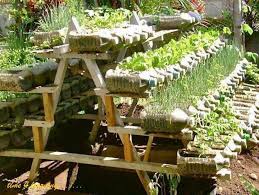 Diy Recycled Craft Empty Soda Bottle Container Gardening Vegetables Container Gardening Bottle Garden