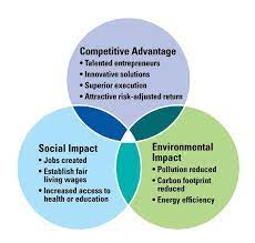 Bill drayton isn't just a great example of a social entrepreneur. Impact Investing Investing Business Model Example Social Impact