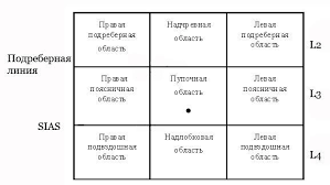 Boli V Oblasti Pupka Prichiny Simptomy I Lechenie