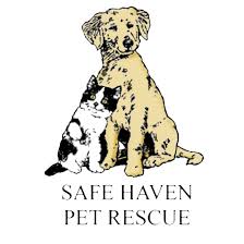 To meet, adopt or find out 2. Safe Haven Pet Rescue Home Facebook