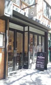 We foster rescue cats who are all for adoption and serve delicious sweet treats. Koneko Picture Of Koneko Cat Cafe New York City Tripadvisor