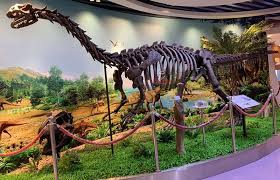 Factory Supply Fossil Replicate For Shanghai Museum Dino Dinosaurs Themepark Jurassic Jurassicpark Outdoor Park Model Fossil Museum Shanghai