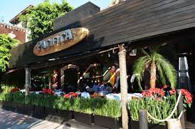 We did not find results for: Restaurante Pacifica Polanco Chilpayatl Verde