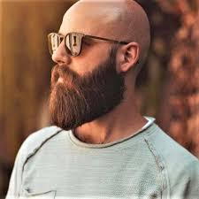 Pin By Sebastien Marchal On Beards Long Beard Styles Bald With Beard Beard Grooming
