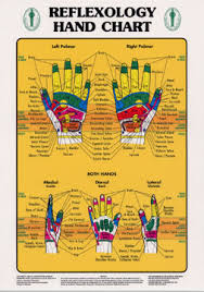 78 comprehensive foot chart for reflexology free