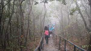 The steep trails and rocky slopes can be challenging for those who are inexperienced hikers. Uum Hiking Gunung Jerai Gurun Kedah Youtube