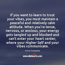 If You Want To Learn To Trust Your Vibes You Must Maintain Idlehearts