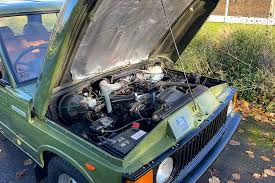 Image result for Honeysuckle 1972 Rover