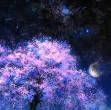 Fate/stay night anime illustration, minimalism, texture, black background. Night Sakura Other Anime Background Wallpapers On Desktop Nexus Image 942542