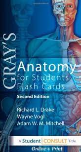 Download Pdf Grays Anatomy For Students Flash Cards With Student Consult Online Access Free Epub Mobi Ebooks Anatomy Coloring Book Anatomy Greys Anatomy