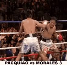 Jun 12, 2021 · things got a little bit chippy in game 3 between the utah jazz and los angeles clippers. Manny Pacquiao Meme Gifs Tenor