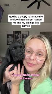 Funny Dog Names for Siblings