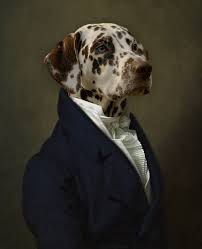 Royal princess pet canvas from $ 59.95. Create A Custom Royal Portrait Of Your Pet By Sabcalx Fiverr
