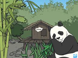 What Is A Panda Answered Twinkl Teaching Wiki