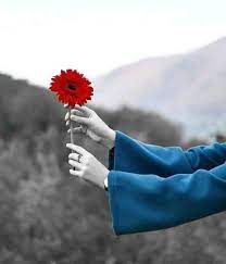 Check spelling or type a new query. 250 Flower Dpz Ideas Hand Photography Girly Pictures Flowers