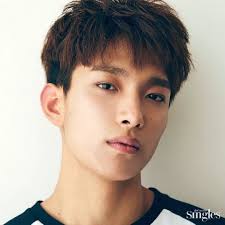 Seventeen（ 朝鮮語： 세븐틴 se beun tin ，日语： セブンティーン se bun tīn ）是韓國pledis娛樂旗下的13人男子流行音樂團體，團體有hiphop team、vocal team、performance team三個分隊。. Dk Seventeen Picture
