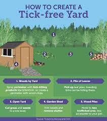 Protect Your Pet From Ticks And Fleas By Practicing Constant Vigilance Dog Yard Lawn Care Tips Yard