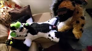 Fetish amateur couple in fursuit costumes tease each other before fucking  passionately. New HD porn on faponhd