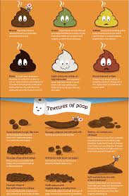 Know Your Poo Health Health Facts Gut Health