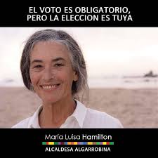 Los invito a todos a votar: INFORMADOS! No debemos permitir que nos  gobiernen quienes ya han demostrado su incapacidad de fiscalizar, o hacerse  cargo de nuestra seguridad. Vota informado: #VotaHamilton #56  #LaComunaSomosTodos #