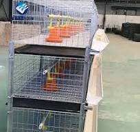 Cage de grillage de poulet à couche atomique, ferme de volaille, conception  de maison alimentation de poulet 90 - 200 poulet un ensemble fil d'acier à  ...