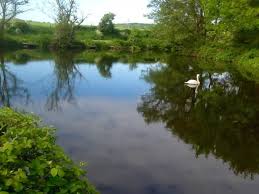 Manley Old Hall Fishery