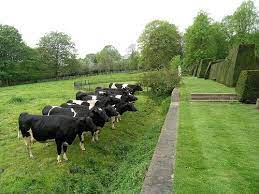 Today I Would Like To Introduce A Garden Term You May Not Be Too Familiar With The Ha Ha Ha Ha Is A Type O Traditional Landscape Landscape Garden Landscaping
