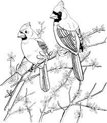 Two Red Cardinals Coloring Page Free Printable Coloring Pages Bird Coloring Pages Coloring Pages Bird Drawings