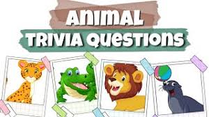 Press submit and follow the instructions on the next page to complete your entry after you have answered the questions on the right. Trivia Questions With Answers 1 Animals Kindergarten Preschool Youtube